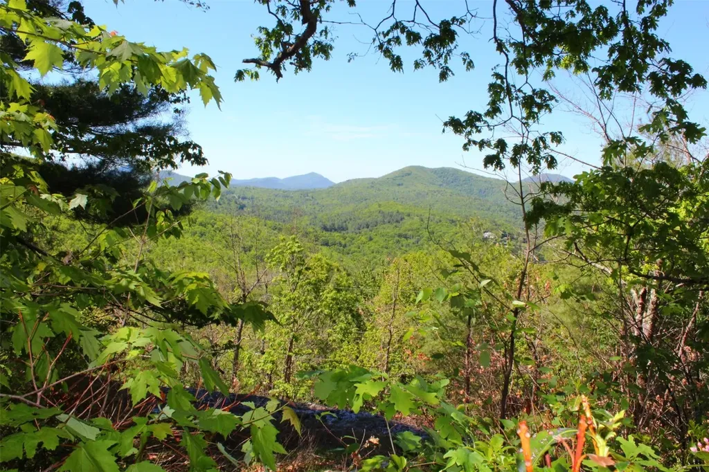 Lot 14 Shirley Pressley Road Glenville NC 28736