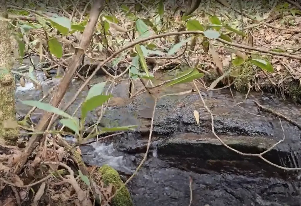 0 Falls Road Scaly Mountain NC 28775