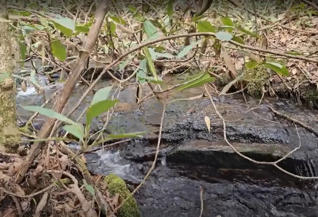 0 Falls Road Scaly Mountain NC 28775