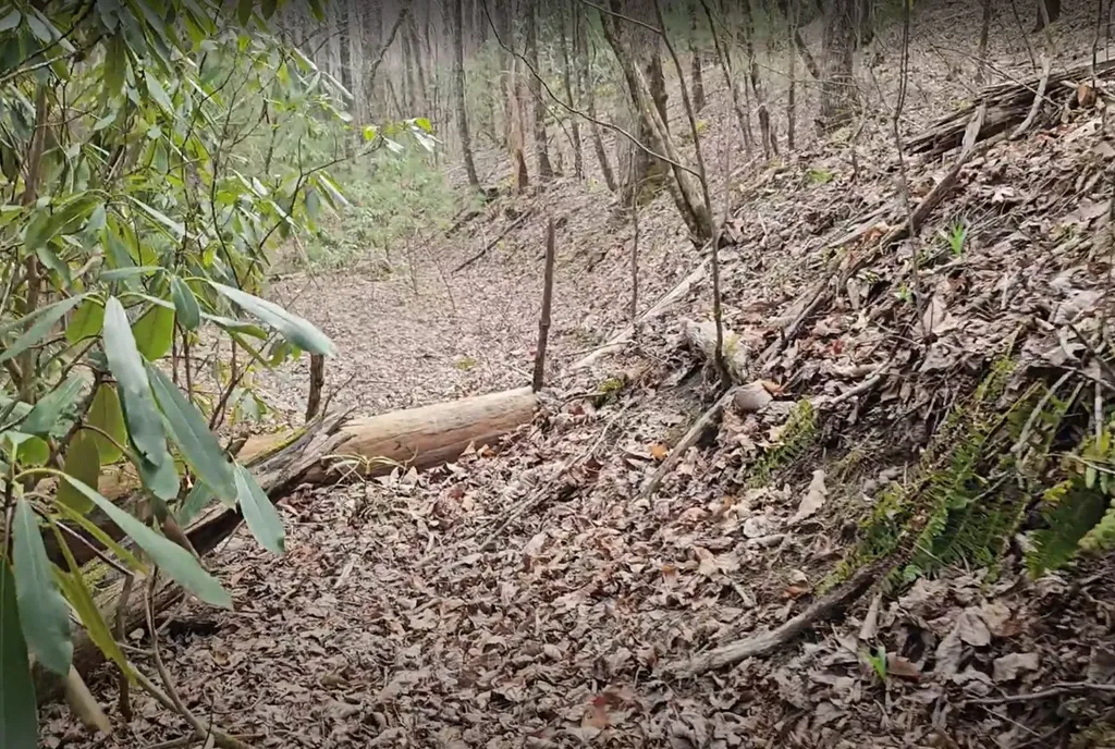 0 Falls Road Scaly Mountain NC 28775