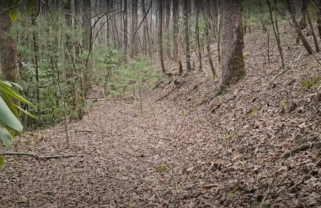 0 Falls Road Scaly Mountain NC 28775