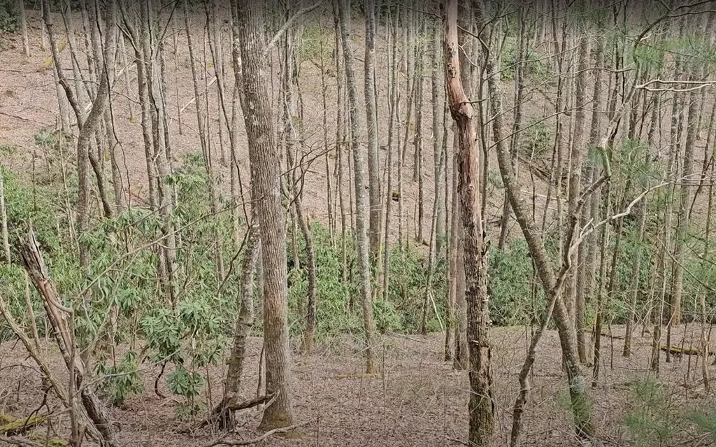 0 Falls Road Scaly Mountain NC 28775