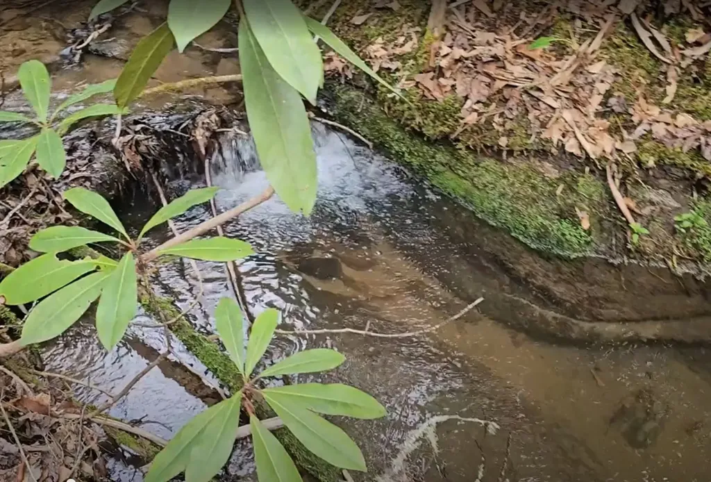 0 Falls Road Scaly Mountain NC 28775