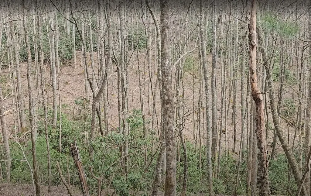 0 Falls Road Scaly Mountain NC 28775