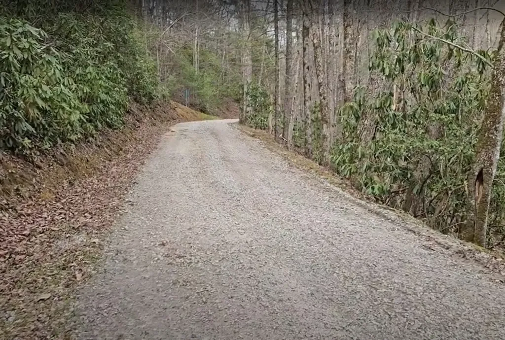 0 Falls Road Scaly Mountain NC 28775