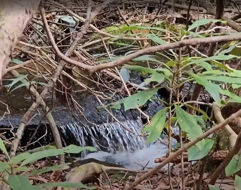 0 Falls Road Scaly Mountain NC 28775