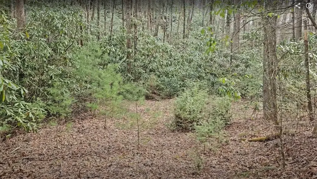 0 Falls Road Scaly Mountain NC 28775