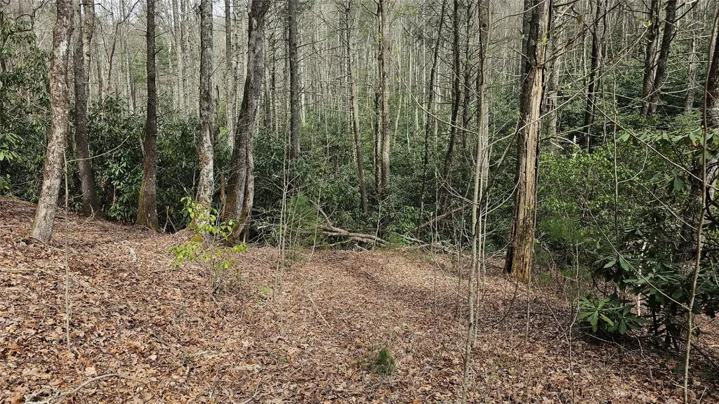 0 Falls Road Scaly Mountain NC 28775