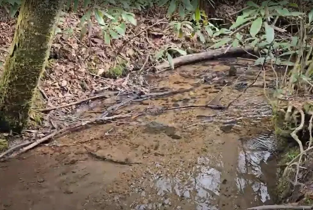 0 Falls Road Scaly Mountain NC 28775