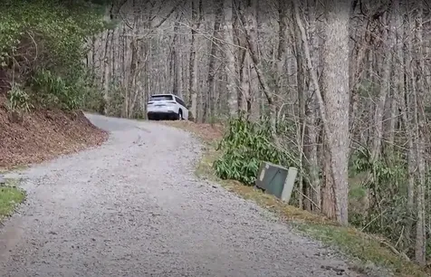 0 Falls Road Scaly Mountain NC 28775