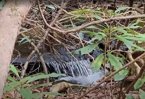 0 Falls Road Scaly Mountain NC 28775