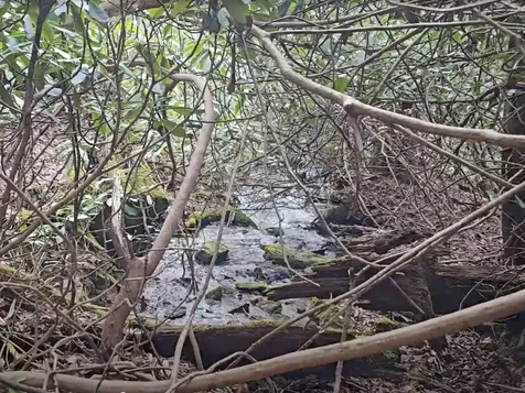 0 Falls Road Scaly Mountain NC 28775