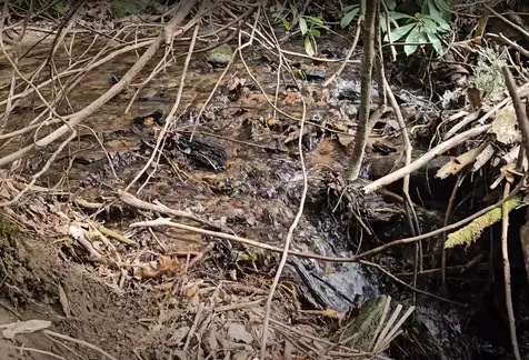 0 Falls Road Scaly Mountain NC 28775