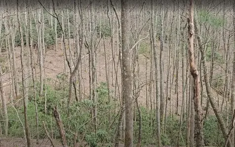 0 Falls Road Scaly Mountain NC 28775