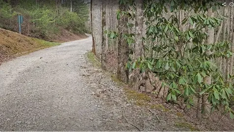 0 Falls Road Scaly Mountain NC 28775