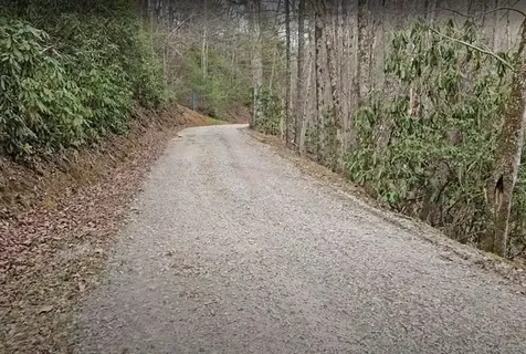 0 Falls Road Scaly Mountain NC 28775