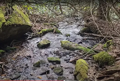 0 Falls Road Scaly Mountain NC 28775