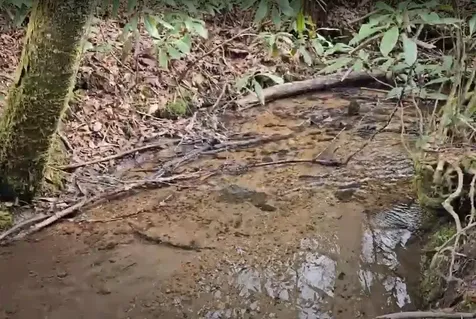 0 Falls Road Scaly Mountain NC 28775