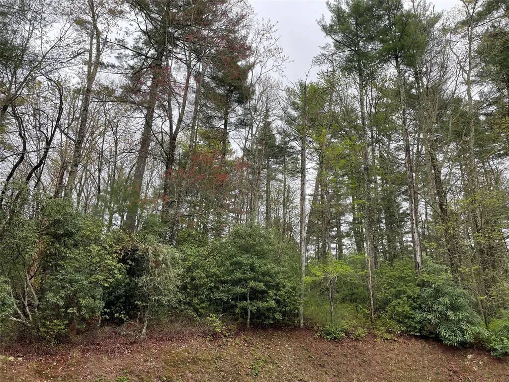 Lot G- Bailey Lane Sapphire NC 28774