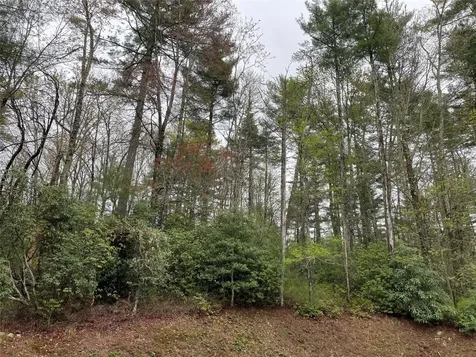 Lot G- Bailey Lane Sapphire NC 28774