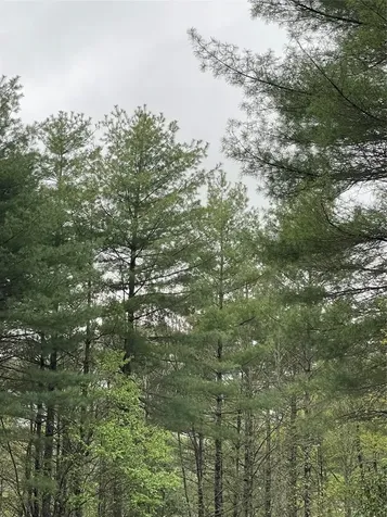 Lot G- Bailey Lane Sapphire NC 28774