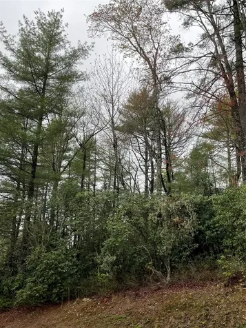 Lot G- Bailey Lane Sapphire NC 28774