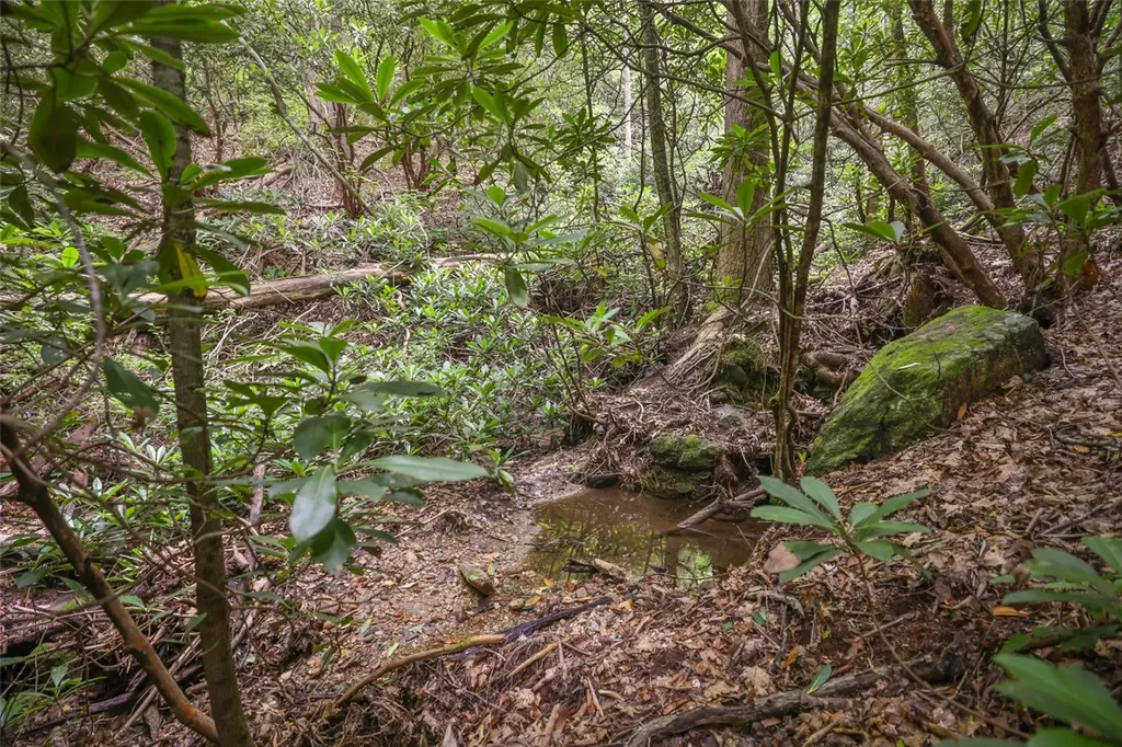 117 Buckberry Drive Sapphire NC 28774