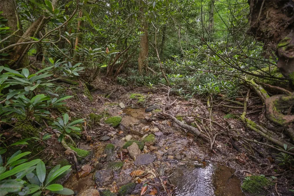 117 Buckberry Drive Sapphire NC 28774