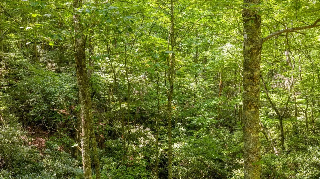 117 Buckberry Drive Sapphire NC 28774