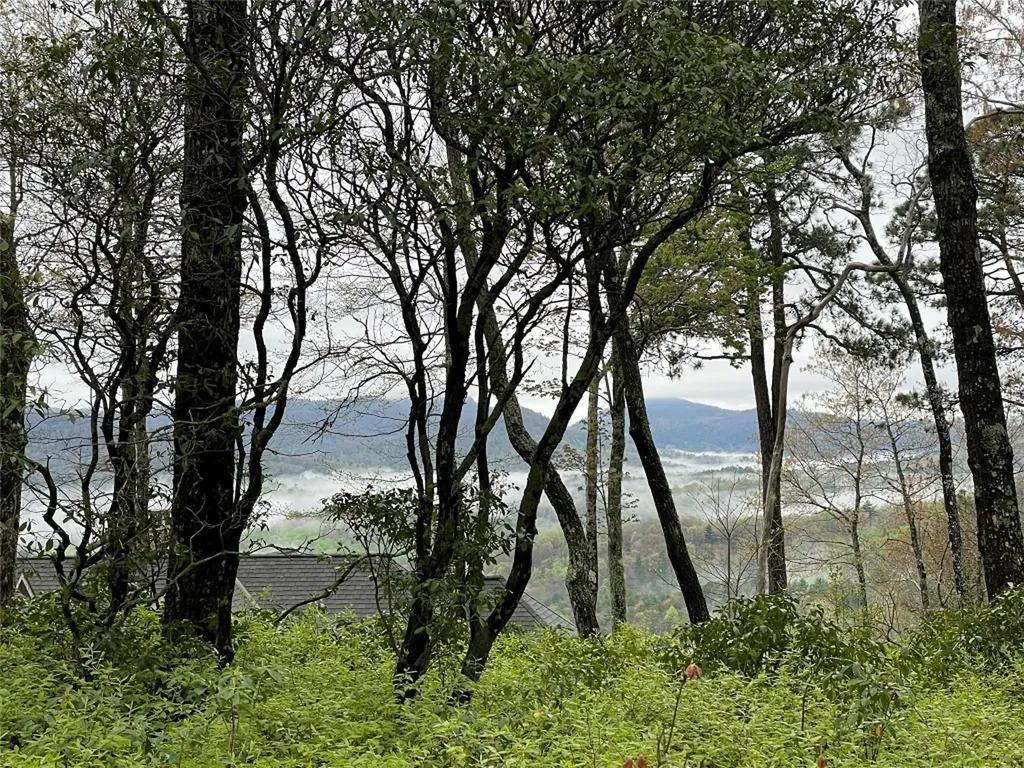 Camp 6 Eagle Frive Sapphire NC 28774