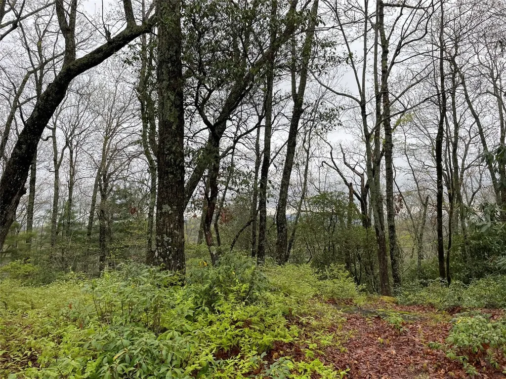 Camp 6 Eagle Frive Sapphire NC 28774