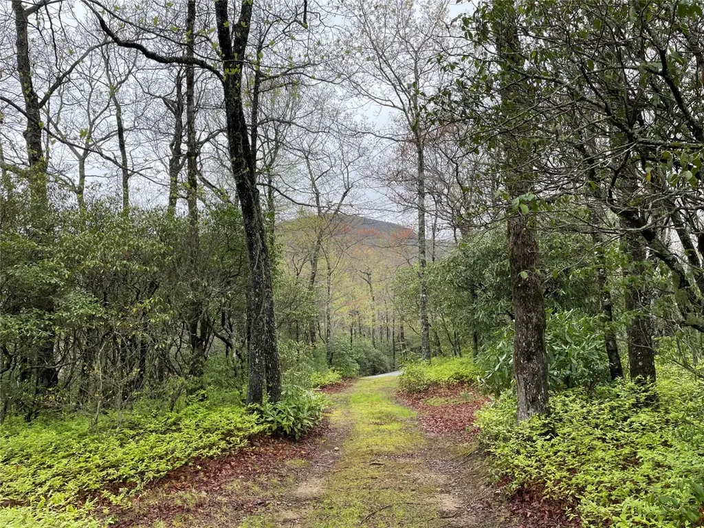 Camp 6 Eagle Frive Sapphire NC 28774