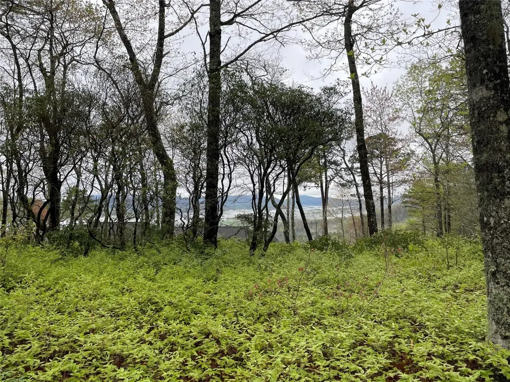 Camp 6 Eagle Frive Sapphire NC 28774