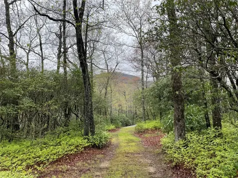 Camp 6 Eagle Frive Sapphire NC 28774