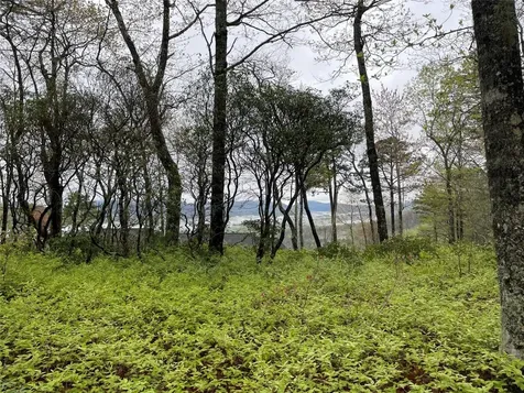 Camp 6 Eagle Frive Sapphire NC 28774