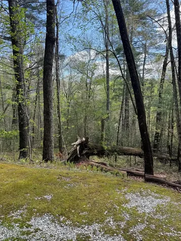 22 Woodward Trail Sapphire NC 28774