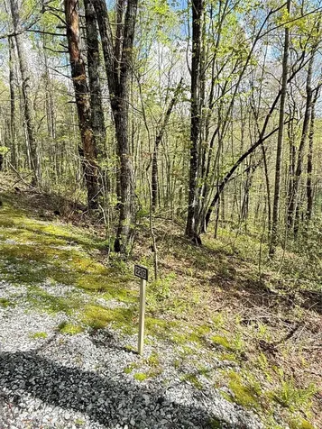 22 Woodward Trail Sapphire NC 28774