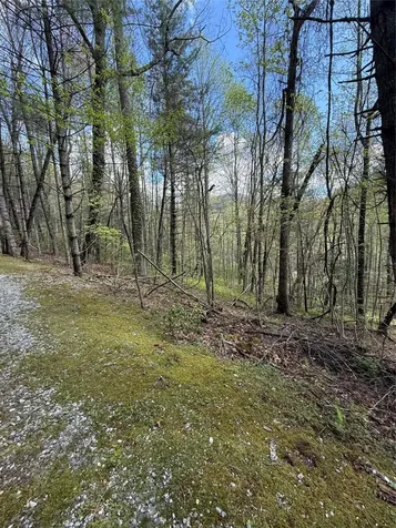 22 Woodward Trail Sapphire NC 28774