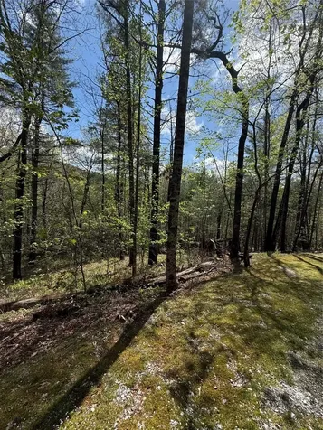 22 Woodward Trail Sapphire NC 28774