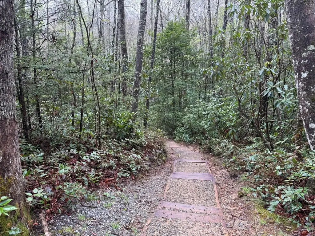 0 Holly Road Sapphire NC 28774