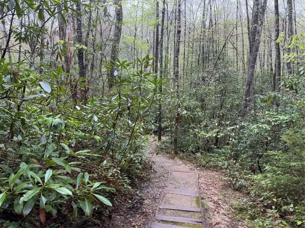 0 Holly Road Sapphire NC 28774