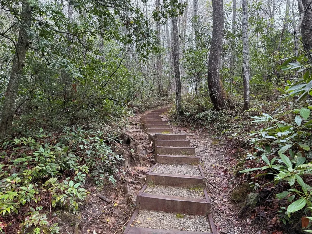 0 Holly Road Sapphire NC 28774