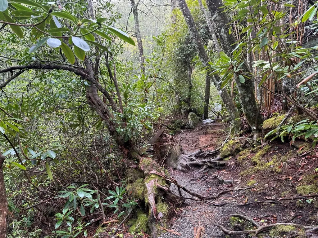 0 Holly Road Sapphire NC 28774