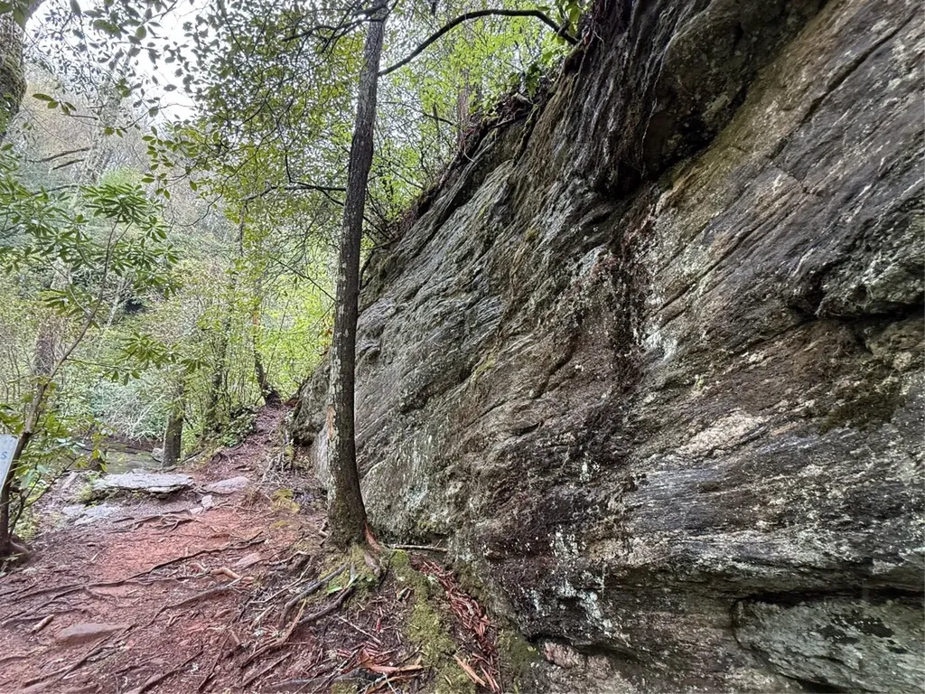 0 Holly Road Sapphire NC 28774