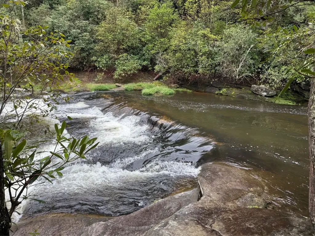 0 Holly Road Sapphire NC 28774