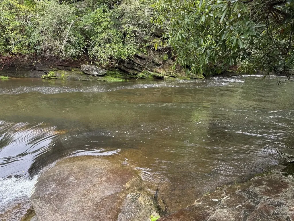 0 Holly Road Sapphire NC 28774