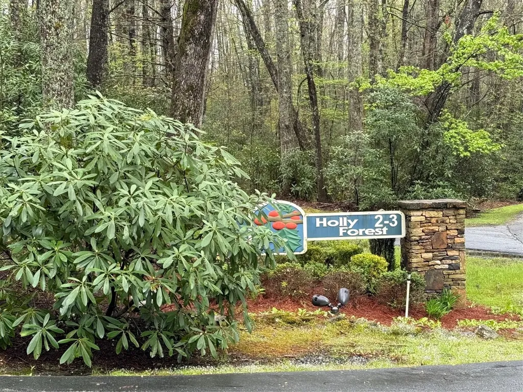 0 Holly Road Sapphire NC 28774