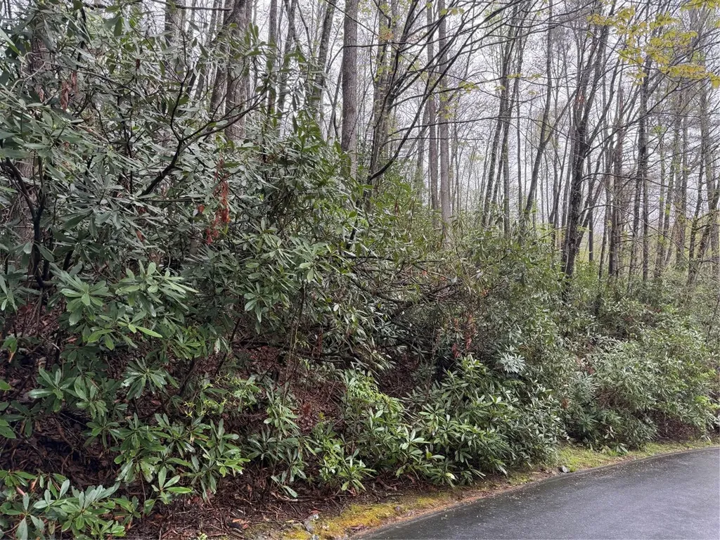 0 Holly Road Sapphire NC 28774