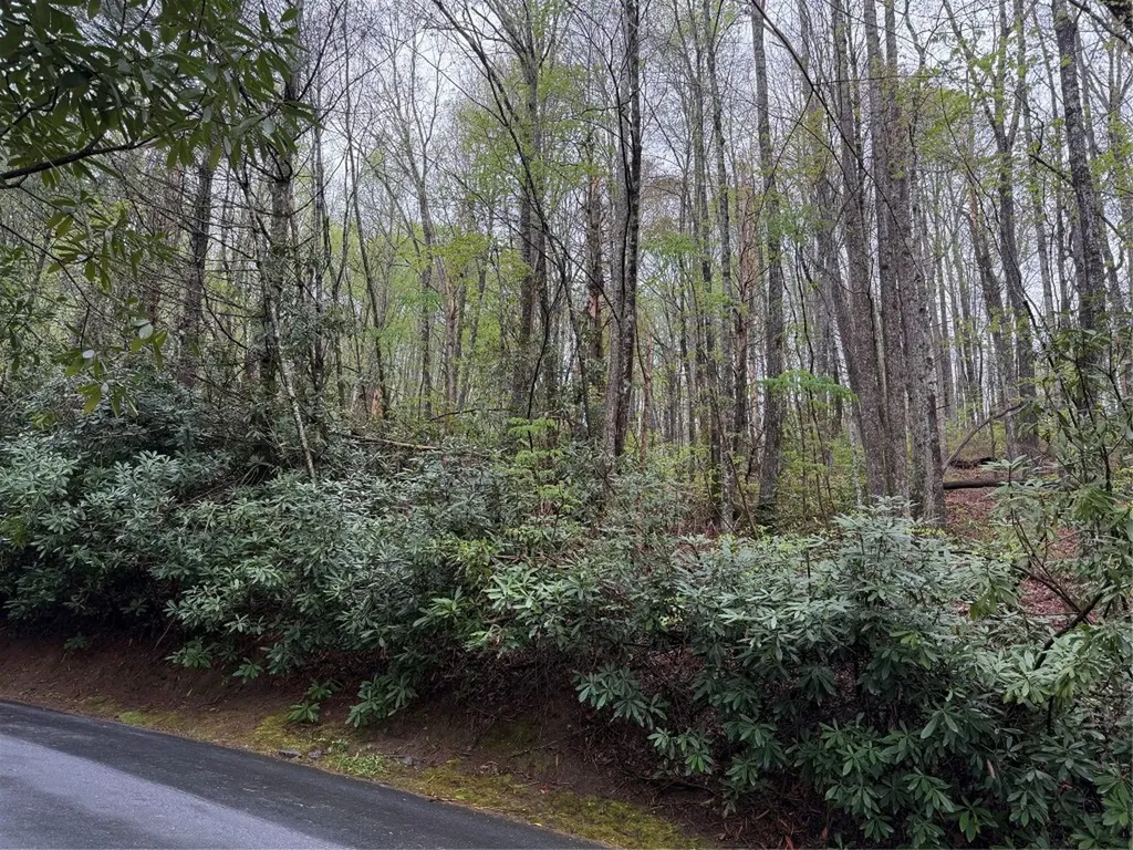 0 Holly Road Sapphire NC 28774