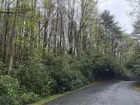 0 Holly Road Sapphire NC 28774